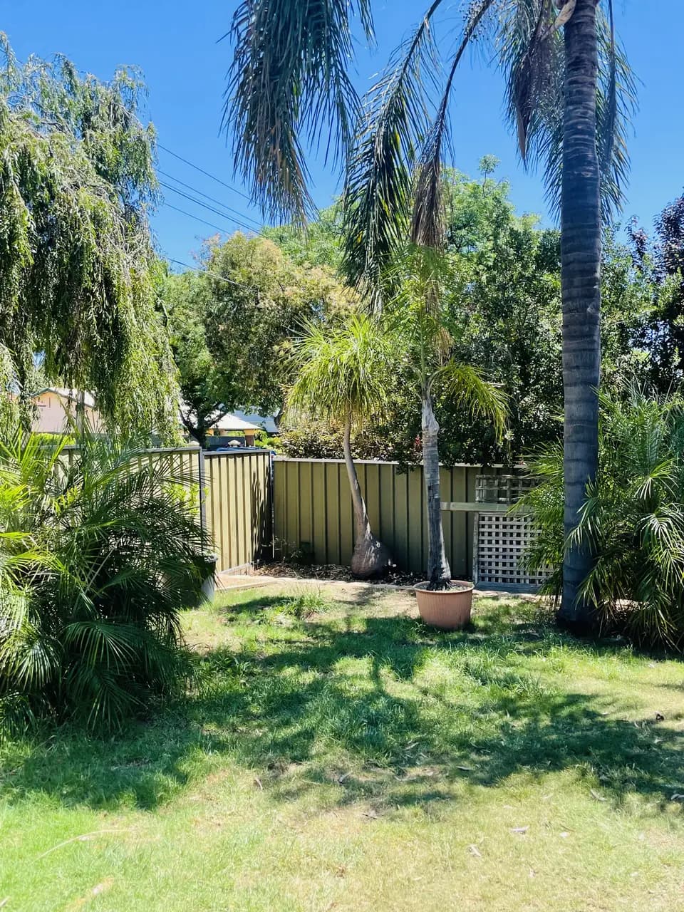Before: garden makeover in Prospect, Adelaide