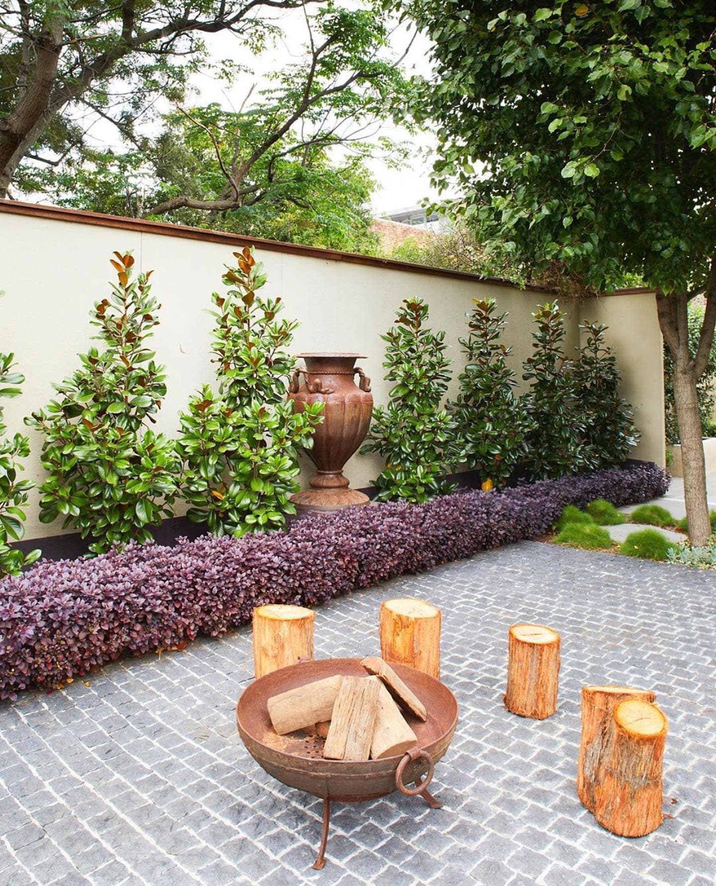 A feature magnolia and layered planting in a finished Yardner garden